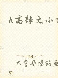 h高辣文小说
