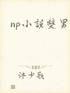 np小说双男封面