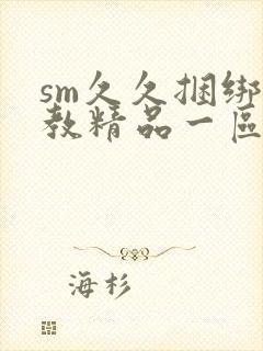 sm久久捆绑调教精品一区封面