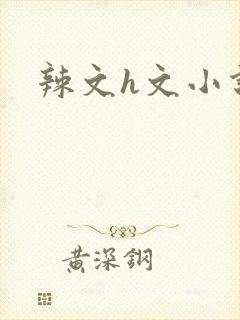 辣文h文小说封面