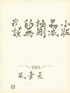 我的极品小姨小说无删减版