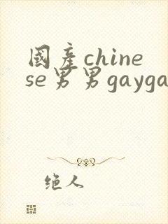 国产chinese男男gaygay 网站