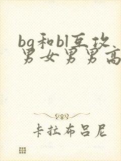 bg和bl互攻男女男男高h文