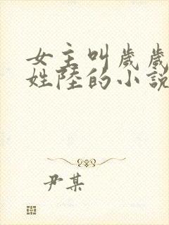 女主叫岁岁男主姓陆的小说