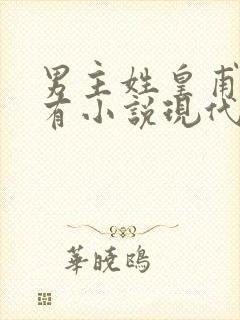 男主姓皇甫的所有小说现代言情封面