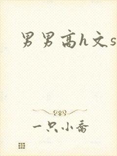 男男高h文sm封面