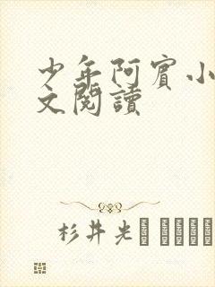 少年阿宾小说全文阅读