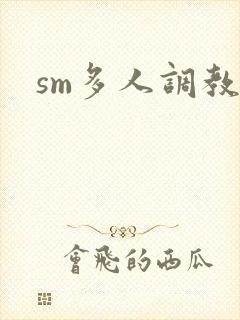 sm多人调教文