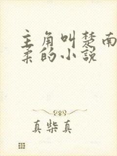 主角叫楚南秦雅柔的小说