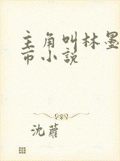 主角叫林墨的都市小说