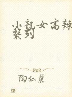 小龙女高辣h文系列