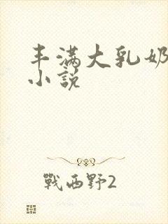 丰满大乳奶做爰小说封面