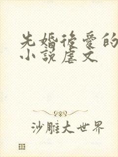 先婚后爱的古言小说虐文封面