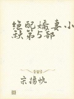 绝配娇妻小说小秋第5部封面