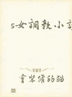 s女调教小说封面