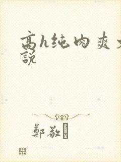 高h纯肉爽文小说
