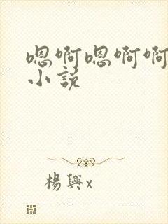 嗯啊嗯啊啊啊啊小说封面