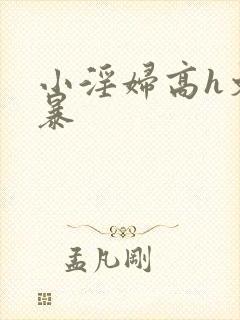小淫妇高h文黄暴
