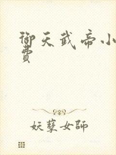 御天武帝小说免费封面