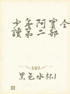 少年阿宾全文阅读第二部