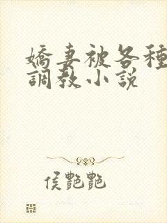 娇妻被各种刑具调教小说封面