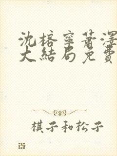 沈榕宁萧泽小说大结局免费阅读