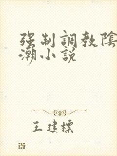 强制调教阴蒂高潮小说封面