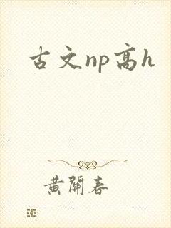 古文np高h