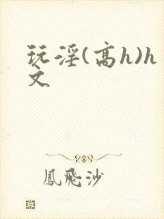 玩淫(高h)h文封面