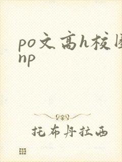 po文高h校园np