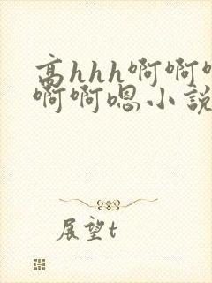 高hhh啊啊啊啊啊嗯小说