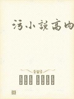 污小说高肉h