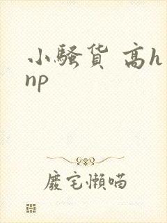 小骚货 高h np
