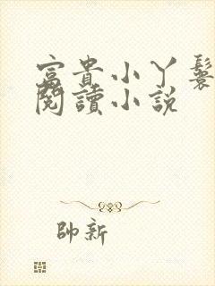 富贵小丫鬟在线阅读小说