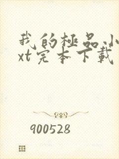 我的极品小姨txt完本下载