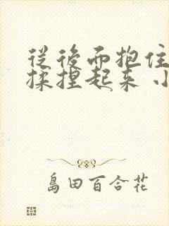 从后面抱住双乳揉捏起来 小说