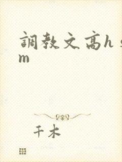 调教文高h sm