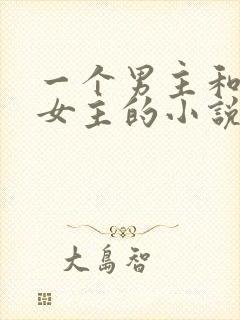 一个男主和多个女主的小说