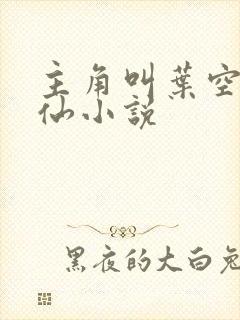 主角叫叶空的修仙小说