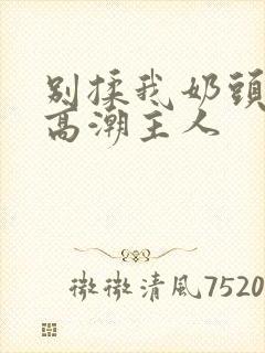 别揉我奶头嗯啊高潮主人