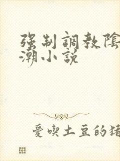 强制调教阴蒂高潮小说