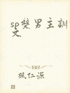 sp双男主训诫文