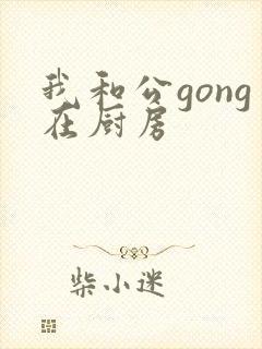 我和公gong在厨房
