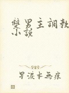 双男主调教高h小说