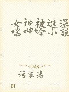 女神被进深处娇喘呻吟小说