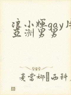 浪小辉gay片亚洲男男