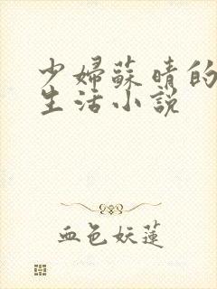 少妇苏晴的性荡生活小说封面