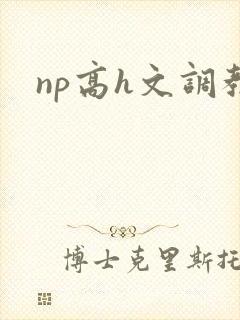 np高h文调教