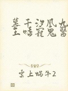 慕千汐凰九夜邪王嗜宠鬼医狂妃免费阅读封面