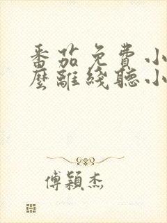 番茄免费小说怎么离线听小说